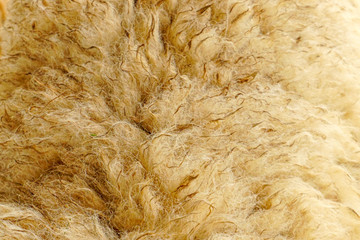 Fleece from the sheep on the farm