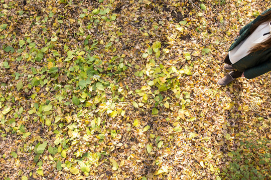 gilr walking on autumn park on fallen leaves, view from above