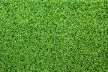 Fototapeta premium artificial grass texture for background 
