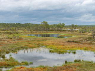 : landscape, water, nature, sky, lake, river, blue, tree, view, reflection, pond, 