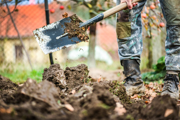 Worker digs soil with shovel in colorfull garden, workers loosen black dirt at farm, agriculture concept autumn detail. Man boot or shoe on spade prepare for digging...