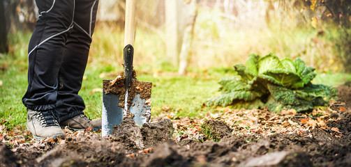 Worker digs soil with shovel in colorfull garden wide panorama or banner. Loosen black dirt at...