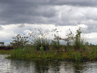 : landscape, water, nature, sky, lake, river, blue, tree, view, reflection, pond, 