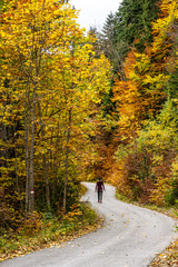 Beautiful lady standing around fall colours in the durmitor national park during autumn season looking over the valley with amazing colours