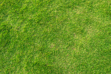 Fototapeta na wymiar Artificial green grass background. Green grass floor texture ideal for use top view sport.