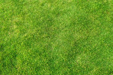Fototapeta premium Artificial green grass background. Green grass floor texture ideal for use top view sport.