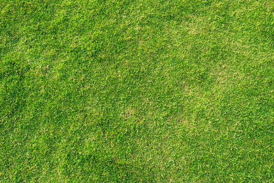 Artificial green grass background. Green grass floor texture ideal for use top view sport.