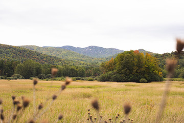 Fototapeta premium View of Adirondack Mountains and High Peaks on countryside, beautiful organic farmstead with stunning view, hiking in the Mountains, Healthy lifestyle , Mountains at sunset, perfect lighting on peaks