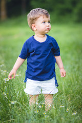 Cute little blond boy in blue t-shirt walking in the park through the grass.