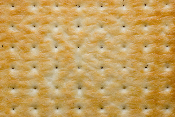 Texture, background from a large salty cracker, closeup