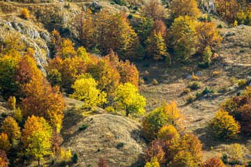 Fototapeta premium Durmitor National Park during a colourful fall season in Montenegro