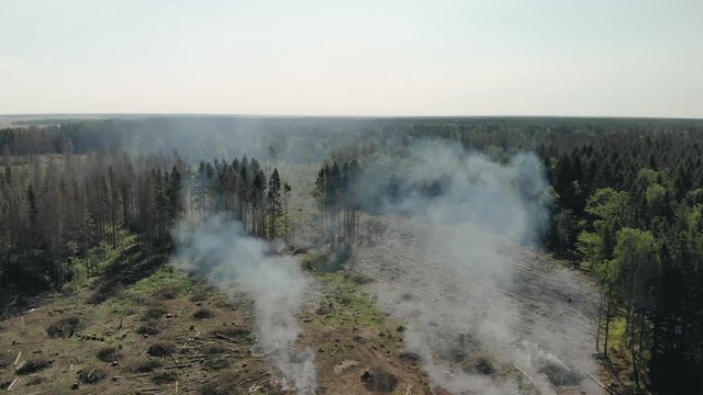 Aerial view of deforestation for human food production and export. The use of fire to destroy such raw materials. Environmental pollution