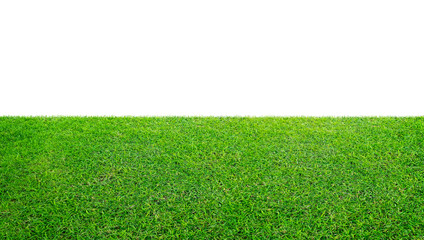 Green grass meadow field from outdoor park isolated in white background with clipping path. Outdoor countryside meadow nature.