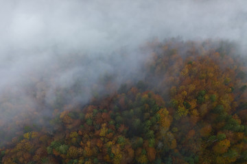 Aerial view of a colorful forest in the fog. Sunrise in Slovenia in the autumn.
