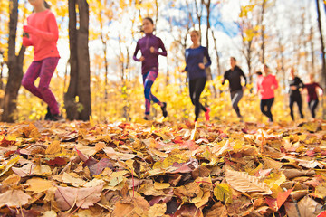 woman group out running together in an autumn park they run a race or train in a healthy outdoors...