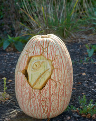 PumpkinCarving(dinosaurs)
