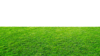 Green grass meadow field from outdoor park isolated in white background with clipping path. Outdoor...