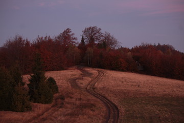 autumn nature