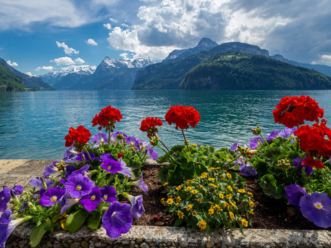 Blumen wachsen vor einem See mit Bergpanorama