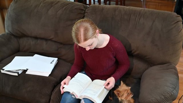 Madelyne's study scene ending with a huge smile after she pets her Yorkshire terrier (Yorkie)