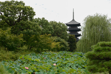 Pagoda en parque