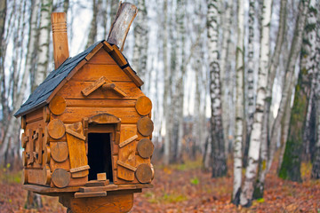 bird house autumn forest background