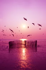 Tuinposter Prachtige natuur landschap zonsondergang en zeemeeuw vogels op het strand. © Ubonwan