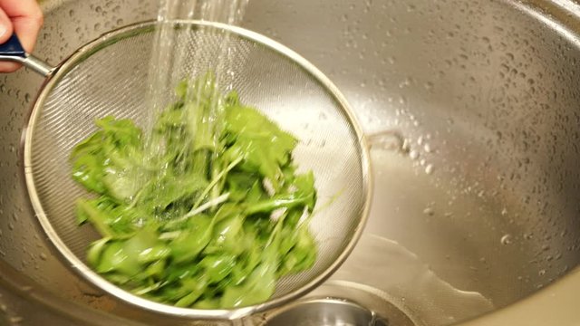 Female hand washing fresh green vegetables in kitchen sink, rucola leaves in colander under water stream. Cleaning products. Ingredient for tasty salad. Healthy eating, dieting concept