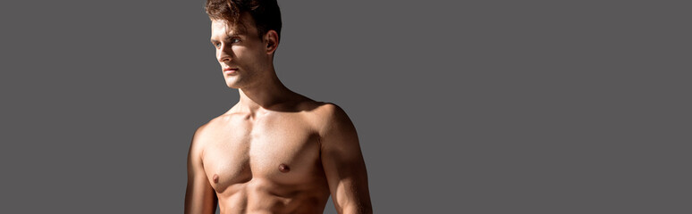 Naklejka premium panoramic shot of sexy man standing isolated on grey