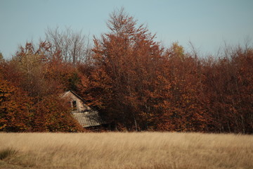 autumn house