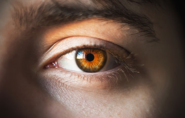 The bright orange eye and eyebrow of a dark-haired man, illuminated by sunlight.