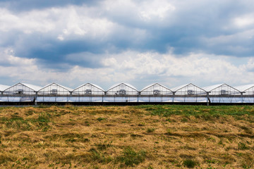 Abstract image of greenhouses near Niagara on the Lake, Ontario, Canada.