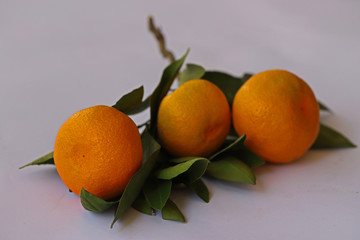 Fresh natural tangerines on a white background.