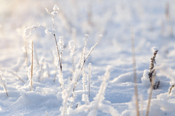Winter background, morning frost on the grass with copy space