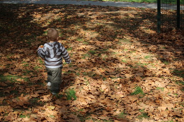 enfant en automne dans les feuilles