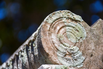 A close up of a lichen covered headstone in a cemetery creates a bold abstract composition.