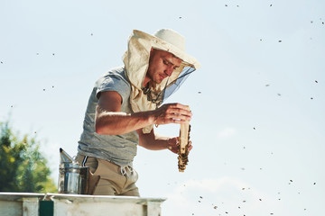 Clear sky. Beekeeper works with honeycomb full of bees outdoors at sunny day