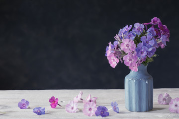 phlox in blue ceramic vase on dark background