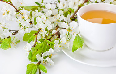 Naklejka na ściany i meble Tea cup with branches of blossoming apple tree on a white background.