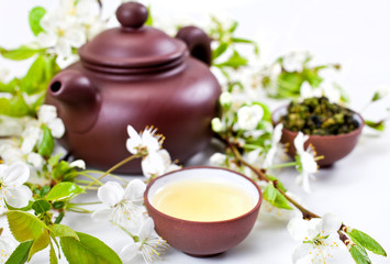 Green tea in a cup, clay teapot with branches of blossoming apple tree on a white background.
