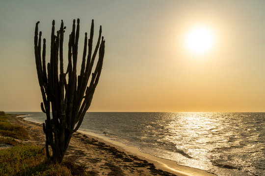 Desierto De La Guajira