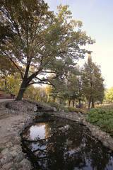 Park in Riga at autumn, Latvia, Europe.