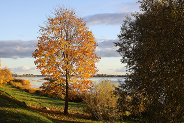 Park in Riga at autumn, Latvia, Europe.