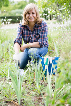 woman planting cornflag