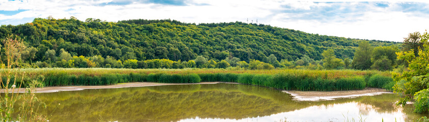 Through the green canyon