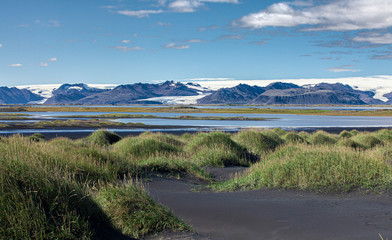 beach grass on black sand dunes near Vestrahorn mountain with vatnajokull glacier in background, southern Iceland, landscape photography