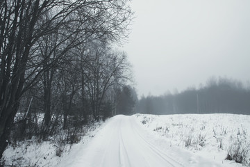 Obraz premium Beautiful winter landscape with trees in snow
