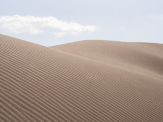 Beautiful desert landscape. Sand dunes in the desert and bright blue sky