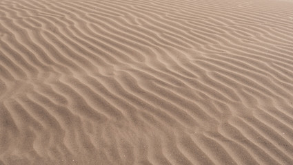 Fototapeta na wymiar ripples in the sand of a dune in the desert