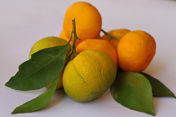 Fresh natural tangerines on a white background.